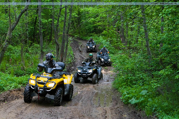 Прокат квадроциклов. Подарочные сертификаты Ultra Подарки Тула. Купить оригинальный подарок или подарочный сертификат на Прокат квадроциклов. Сервис UltraPodarki.ru Тула 8 800 505 95 30. 